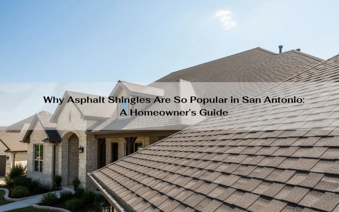 Why Asphalt Shingles Are So Popular in San Antonio: A Homeowner’s Guide