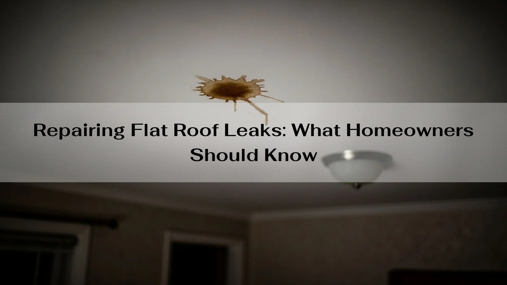 Repairing Flat Roof Leaks: What to Know