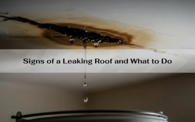 Signs of a Leaking Roof and What to Do