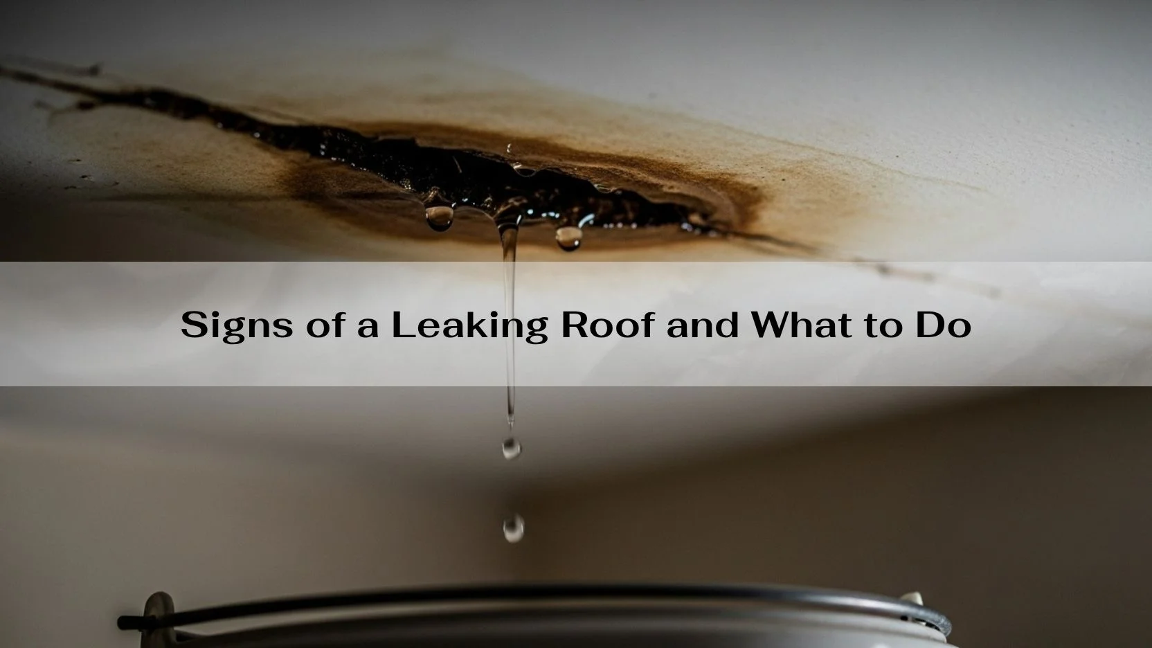 Signs of a Leaking Roof and What to Do