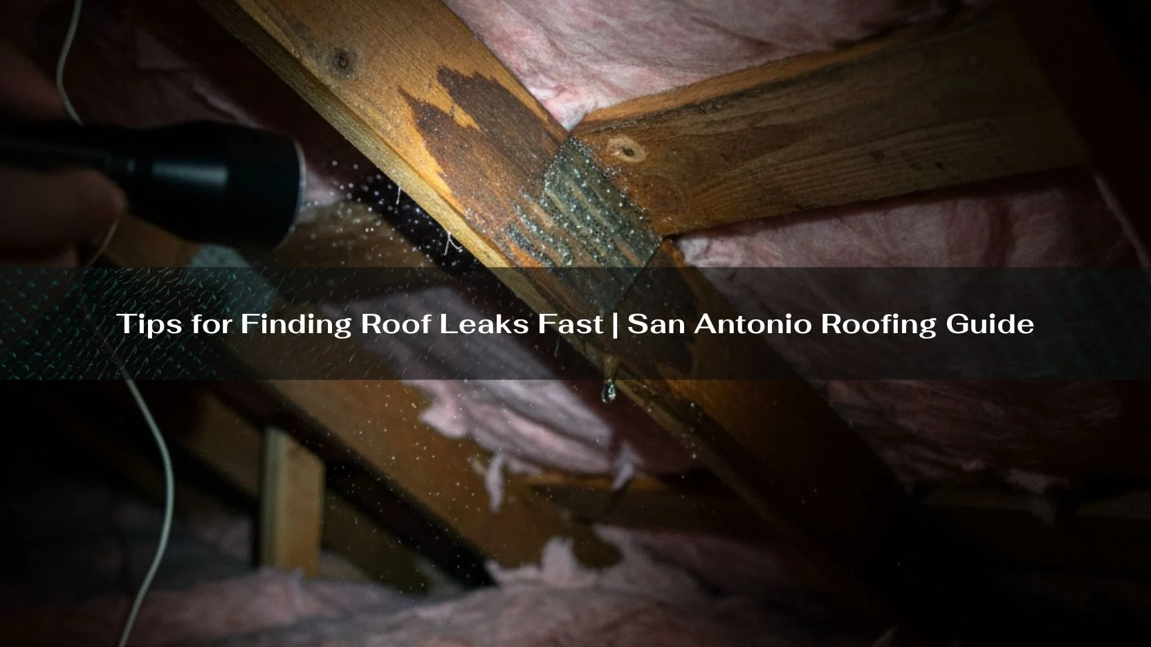 Tips for Finding Roof Leaks Fast