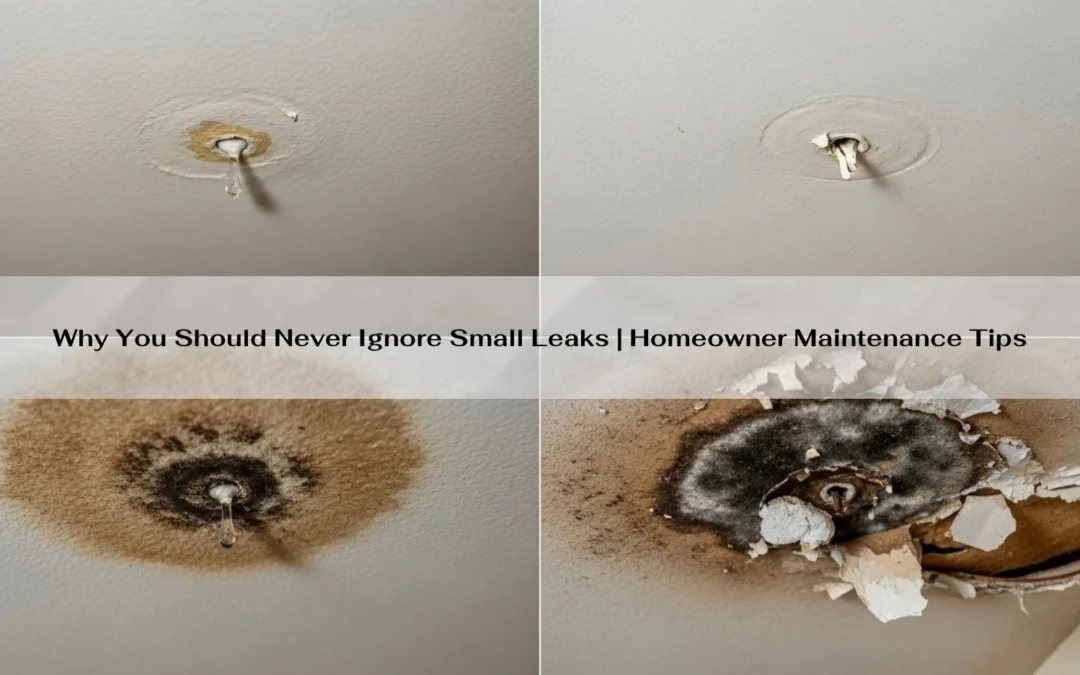 Why You Should Never Ignore Small Leaks | Homeowner Maintenance Tips