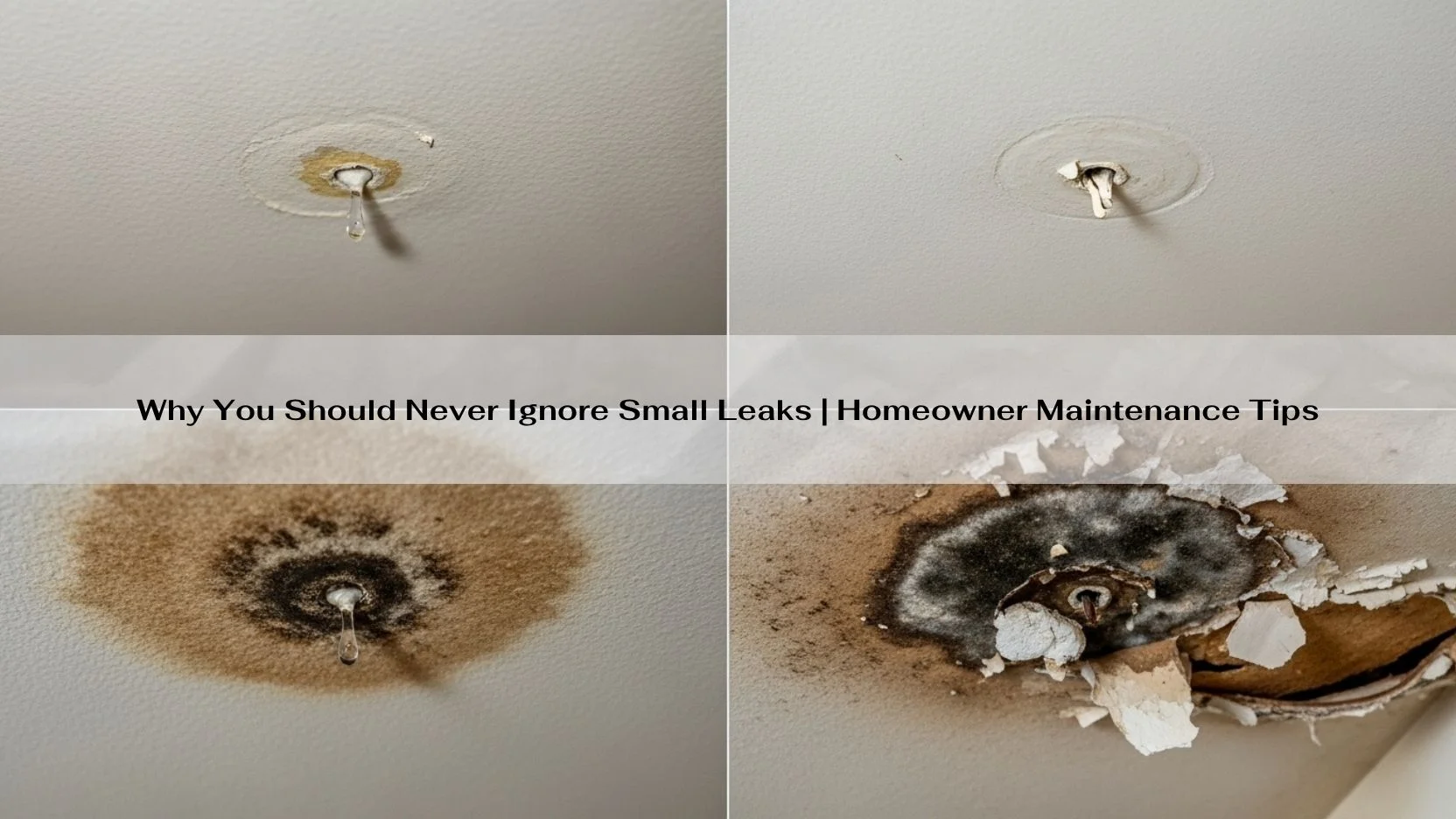Why You Should Never Ignore Small Leaks