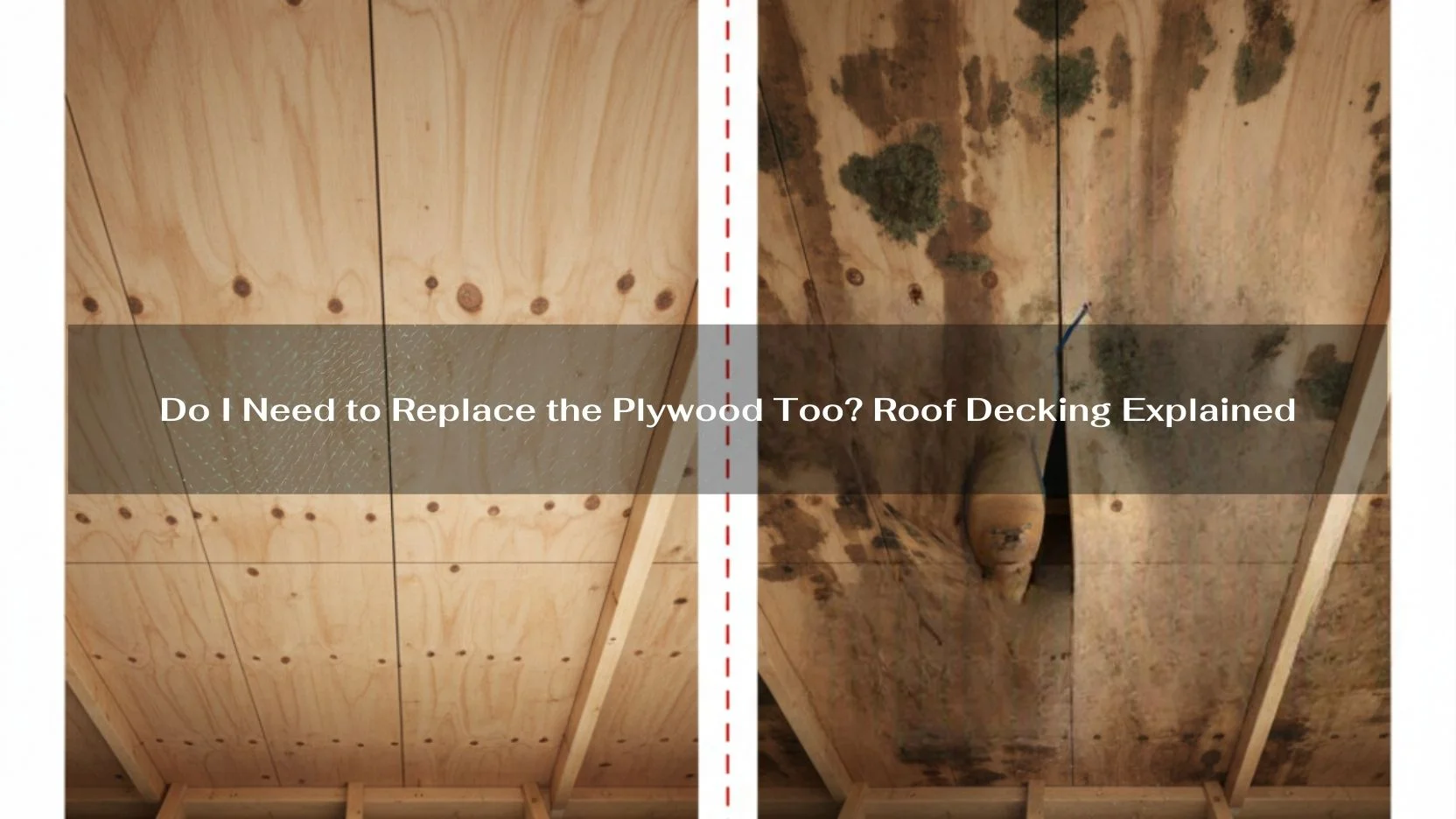 Do I Need to Replace the Plywood Too