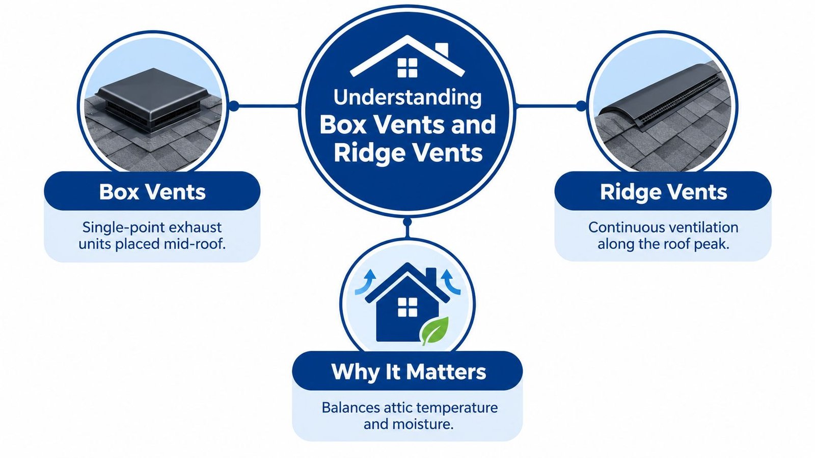 An infographic comparing box vents and ridge vents, explaining their roles in balancing attic temperature and moisture.